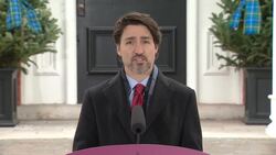 'We're going to work very hard to ensure that those questions are answered': Trudeau News Clip
