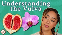 The Vulva & Vagina Explained: Sex Ed #2 Instructional Video