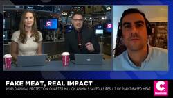 Plant-Based Meat Could Save Quarter-Million Animals News Clip