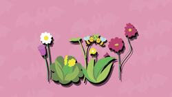 I WONDER - Why Are Bats Important? Me Pregunto - Por Qué Son Importantes Los Murciélagos? Instructional Video