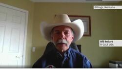 Canadian cattle ranchers weary as beef labelling talk returns in the U.S. News Clip