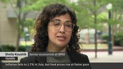 Grocery prices surge while inflation drops News Clip