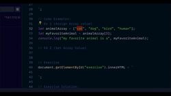 JavaScript Mastery from Zero to Hero - Prepare for Coding Interviews - Accessing Arrays with Bracket Notation - Example 2 Instructional Video