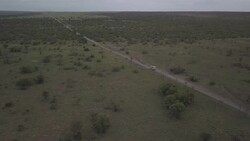 Drone shots of the Kenyan Grasslands News Clip
