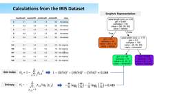 Practical Data Science using Python - Decision Tree - Gini Index and Entropy Measures Instructional Video