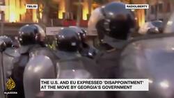 Georgia protesters want the gov't to resign and hold new elections News Clip