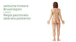 Rücken- und Gesäßregionen Instructional Video