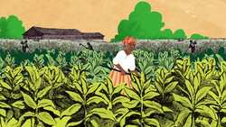 Harriet Tubman Instructional Video