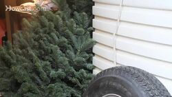 How to Keep a Christmas Tree from Drying Out Instructional Video