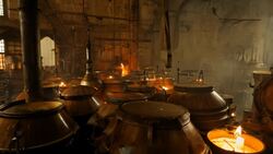 196 - The Origins of the IPA - One Minute History Instructional Video