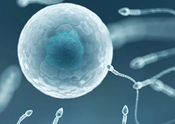 Fusion Instructional Video