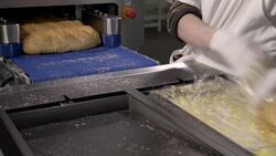 Let's Learn About Communities: People at Work Instructional Video