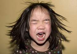 Developing Brain: Tantrums Instructional Video