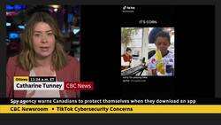 Cybersecurity head warns TikTok users to protect their data News Clip
