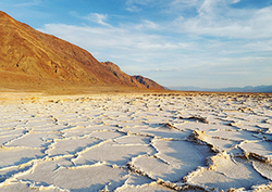Cambio climático Instructional Video