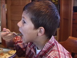 Cadenas alimenticias: introducción Instructional Video