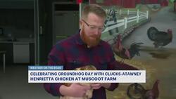 Weather on the Road: Cluxatawney Henrietta the Chicken predicts winter's future News Clip