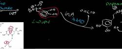 Catecholamine Biosynthesis from Tyrosine Instructional Video