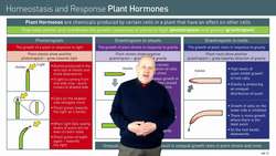 The Effects of Auxin on the Coordination of Plant Growth in Response to Light and Gravity Instructional Video