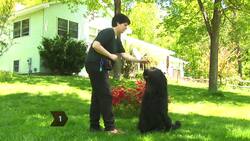 How to Teach Your Dog to Play Dead Instructional Video