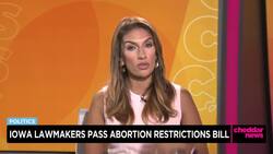 Iowa Lawmakers Pass Abortion Restrictions Bill News Clip