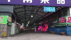 WHO team to probe COVID-19 origins in China's Wuhan News Clip