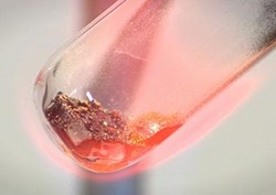 Extracting Lead Instructional Video