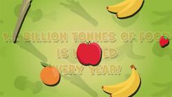 I Wonder - How Much Food Is Wasted Every Year? Instructional Video