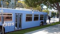 New York City and Los Angeles Compared Instructional Video