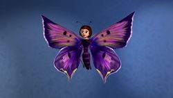 Human body: The Senses Instructional Video