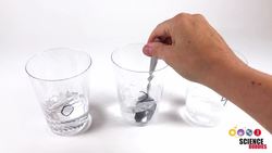 Shrink a Potato with Osmosis – STEM activity Instructional Video