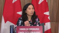 Dr. Tam says public health measures can also address new COVID strain found in UK News Clip