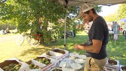 Ever heard of pawpaws? This Quebec town has a festival devoted to the special fruit News Clip