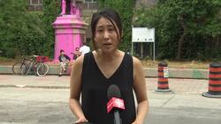 Black Lives Matter Toronto calls for police defunding, protesters charged News Clip