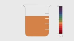 Neutralisation of Alkalis Instructional Video
