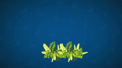 I WONDER - What Did The Apatosaurus Eat? Instructional Video