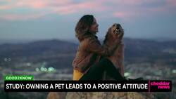 Study: Owning A Pet Leads to A Positive Attitude News Clip