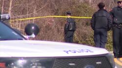 Babylon community relieved by arrest in case of humans remains found but questions remain News Clip