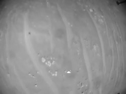 NASA’s Ingenuity Mars Helicopter Captures Record Flight Instructional Video