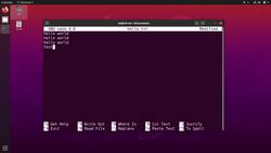 Practical Linux Command Line 2.0 - Edit a File in the Terminal with Nano Instructional Video
