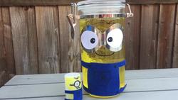 Minion Lava Lamp Instructional Video