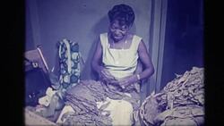 H. Upmann Cuban Cigar Factory 1960's Stock Footage