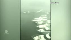 Alabama coast hit by massive storms News Clip