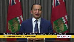 How are the provinces stepping up against tariffs during Ottawa’s chaos? News Clip