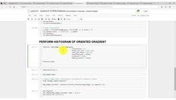 Create a computer vision system using decision tree algorithms to solve a real-world problem : [Activity] Code to perform HOG Feature extraction Instructional Video