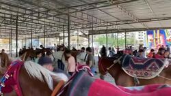 CLEAN : Children play at a makeshift playground in Syria's Idlib to celebrate Eid al-Fitr News Clip