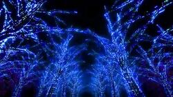 Neon Tree illumination Stock Footage