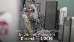 Worldwide coronavirus death toll passes two million threshold News Clip
