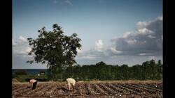 TED: The deadly legacy of cluster bombs | Laura Boushnak Instructional Video