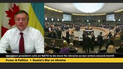 Ukraine calls on NATO to do more as war enters second month News Clip